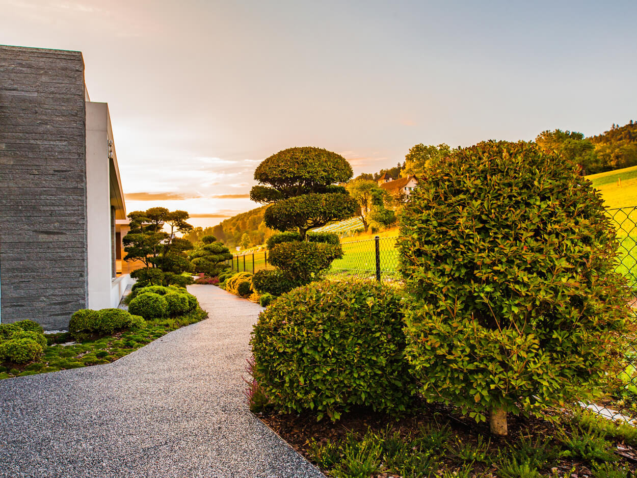 Gärten und Terrassen buxus und garten bonsai bei Gartencenter Hoffmann realisiert