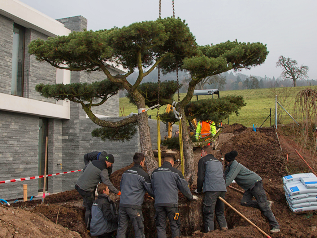 Vorarbeiter/in Gartenbau EFZ